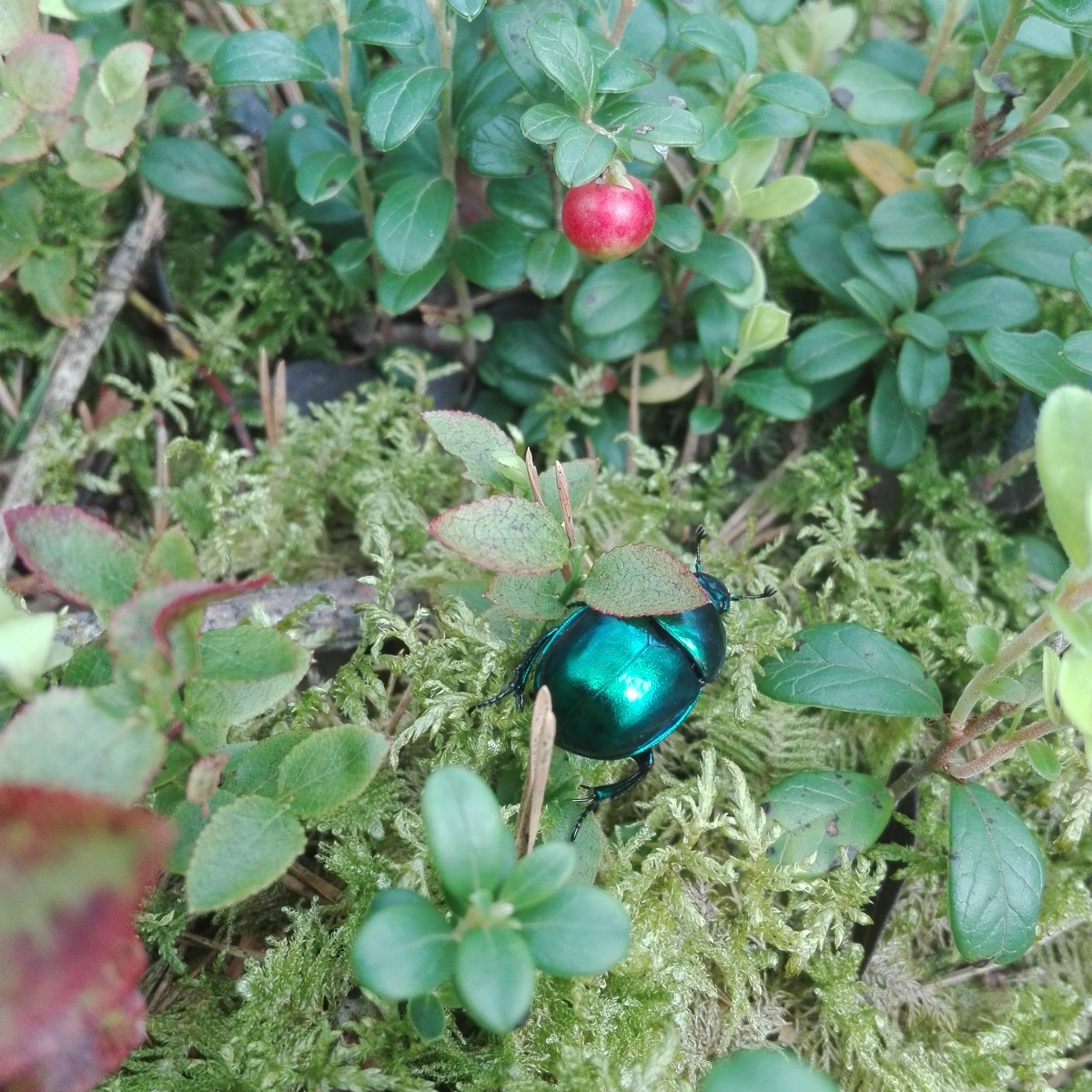 Waiting for something