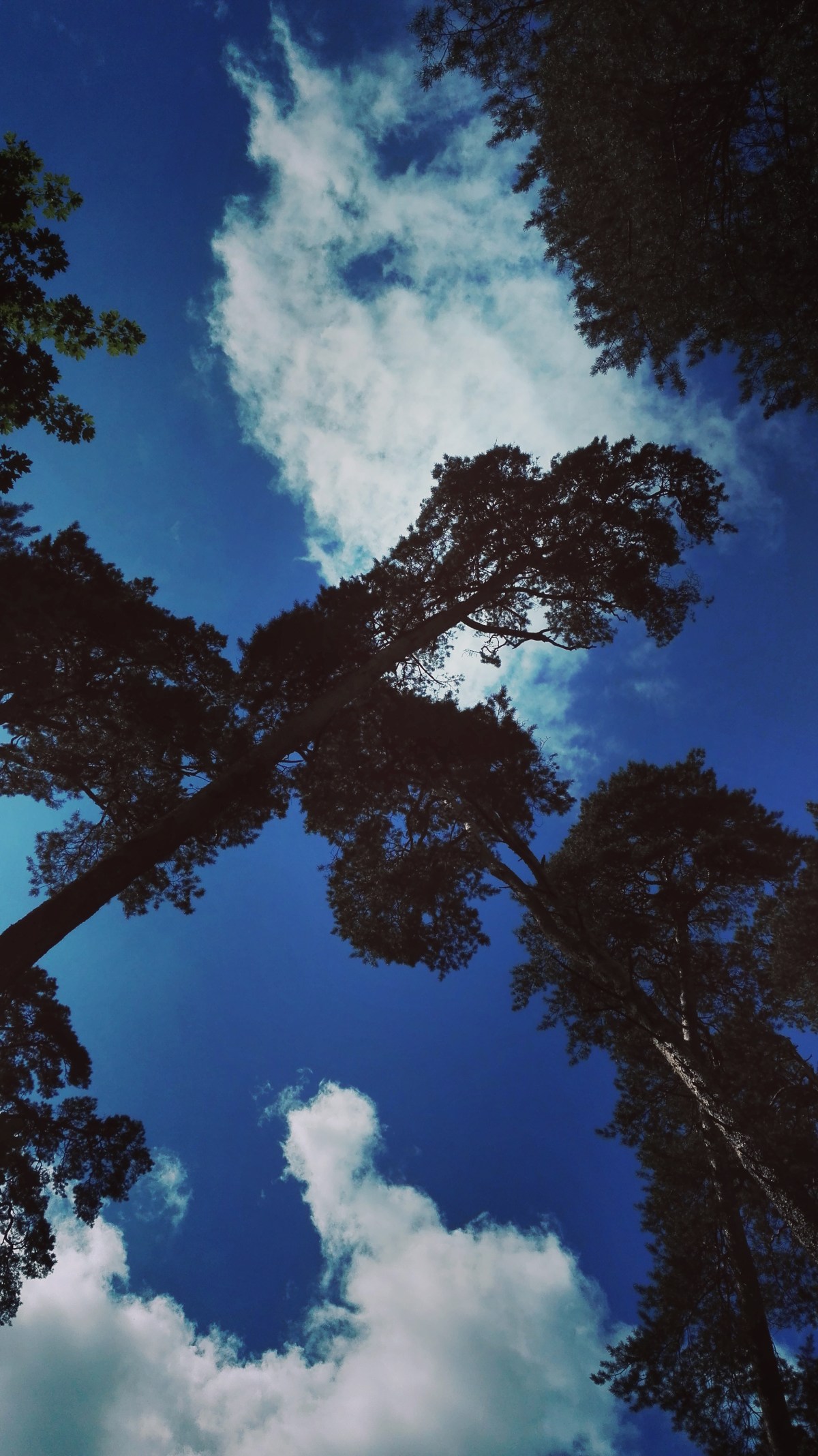 Gyvenimas to nemėgsta