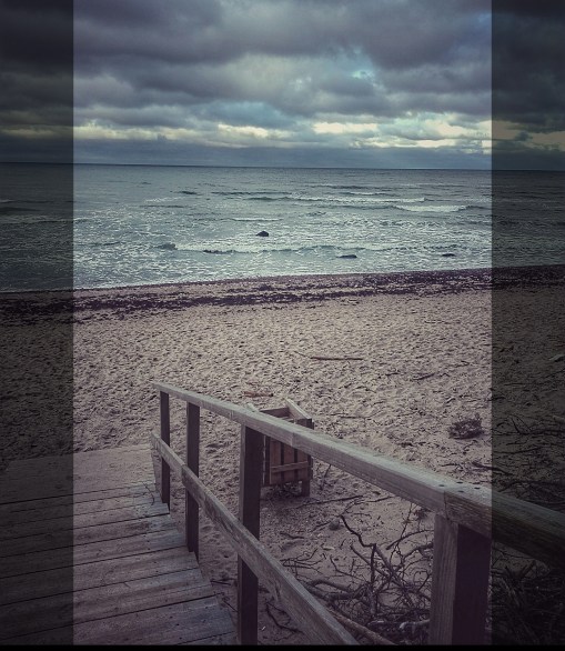 IMG_20181118_113557-01