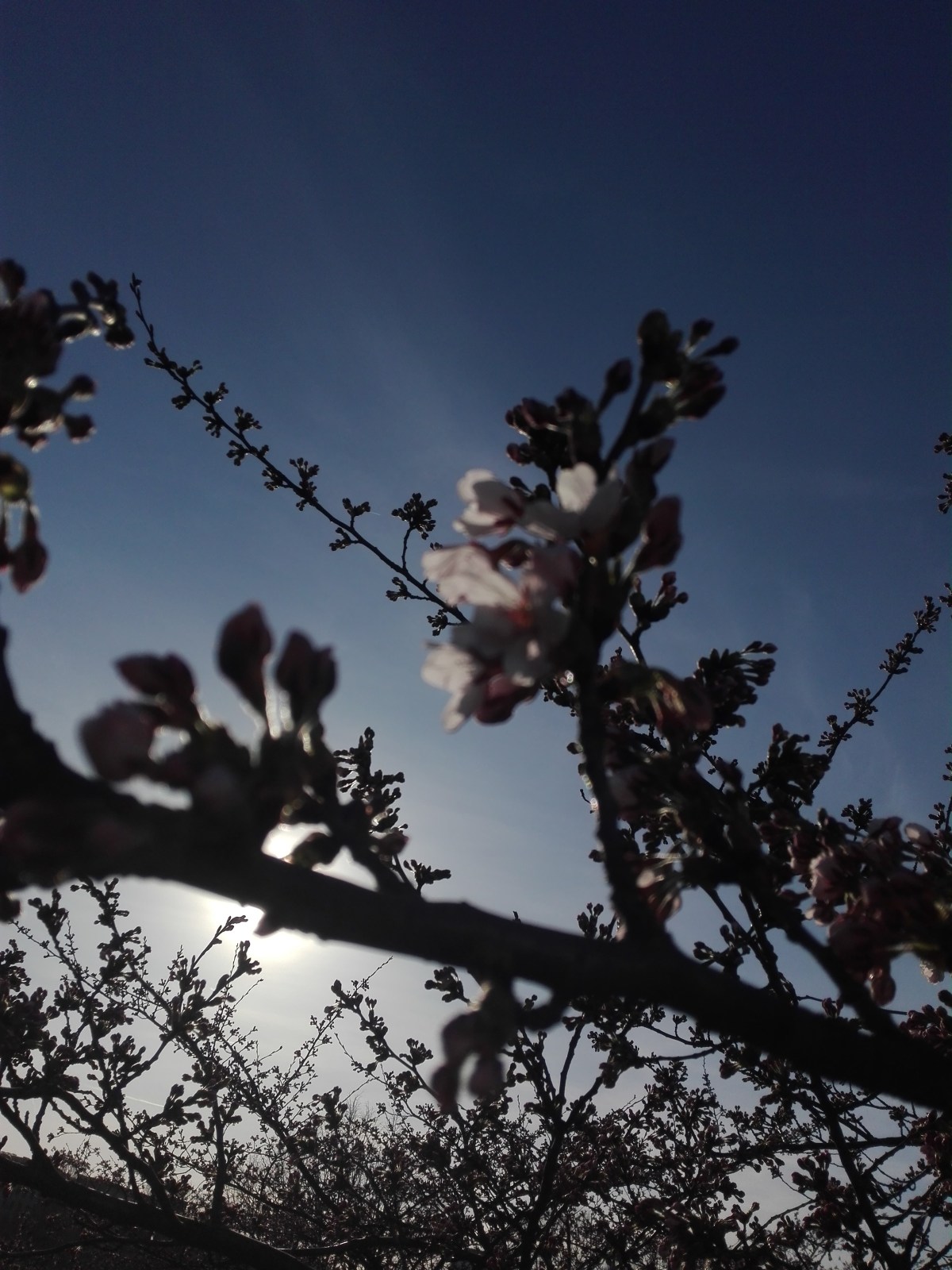 Tas šaltis tavo širdyje