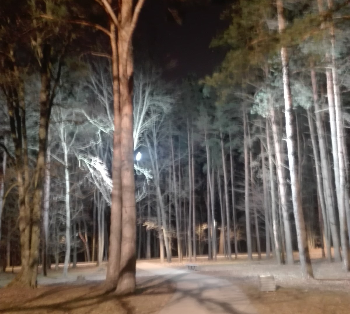 Jausmai, arba kaip suvaldyti emocijas?