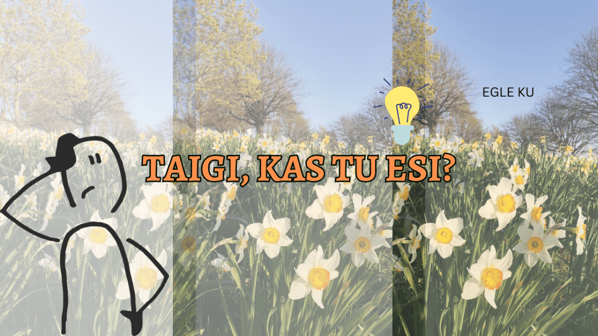 Taigi, kas tu esi?