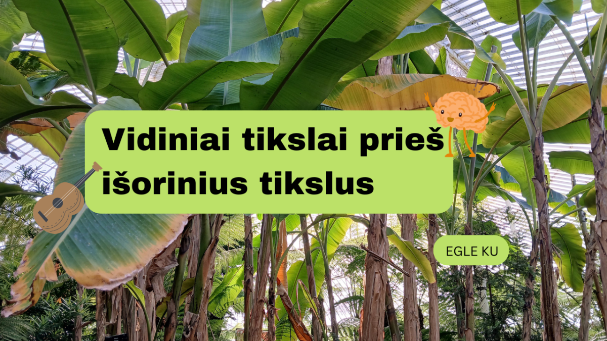 Vidiniai tikslai prieš išorinius tikslus